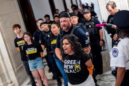 Youth Climate Group Sunrise Movement Pivots to Fighting Trump