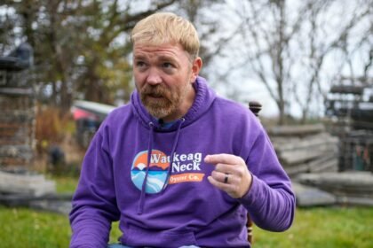 Democratic Insurgents Are Ready to Run on Shutdown Betrayal