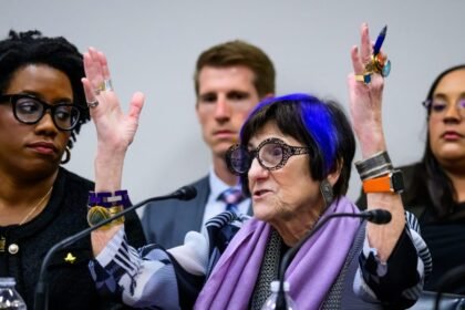 Democrats Who Crafted ICE Funding Compromise Question It