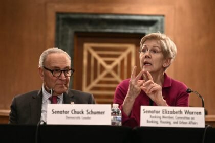 Senate Progressives Don't Criticize Schumer's ICE Compromise